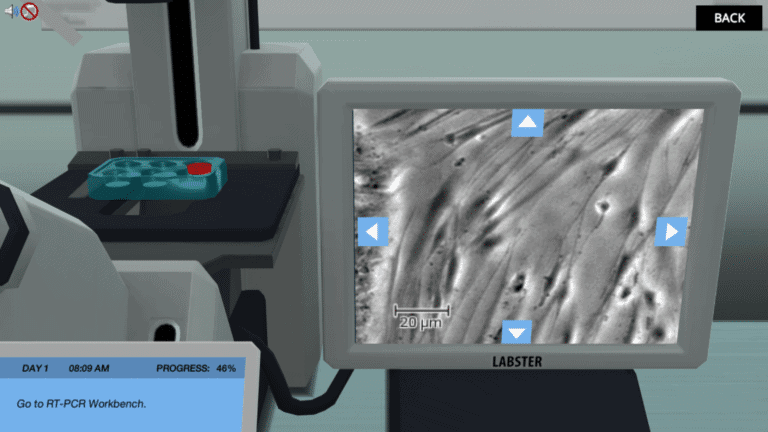 Polymerase chain reaction virtual lab from Labster