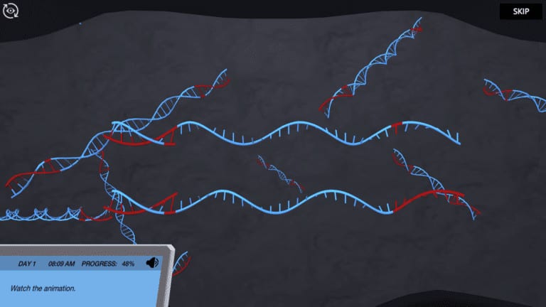 DNA animation from Labster