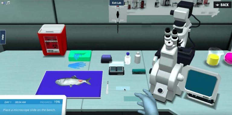 Eutrophication microscope bench